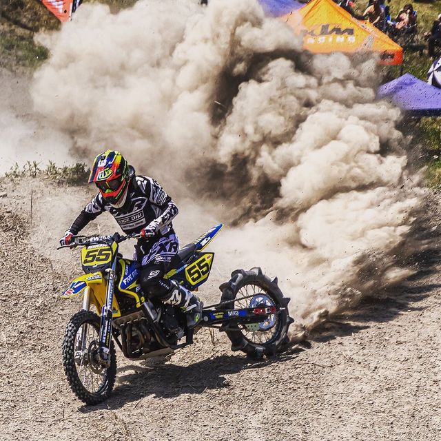 Professional Athlete